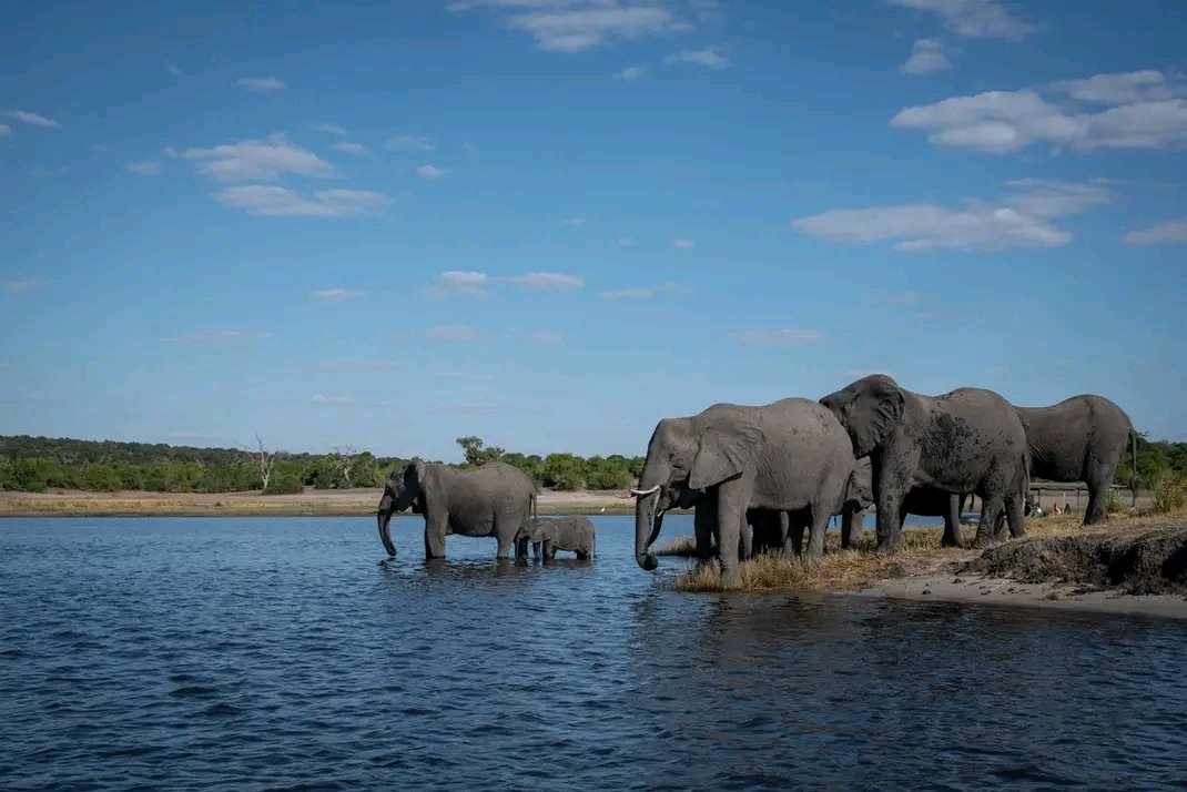 The Zambezi River near Victoria Falls